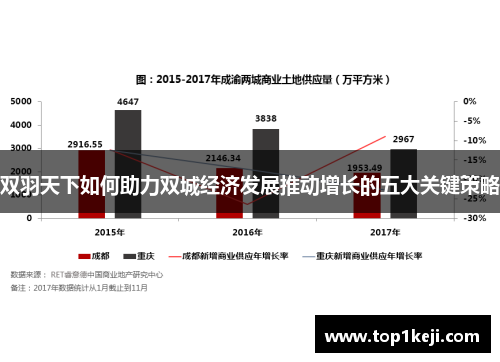 双羽天下如何助力双城经济发展推动增长的五大关键策略